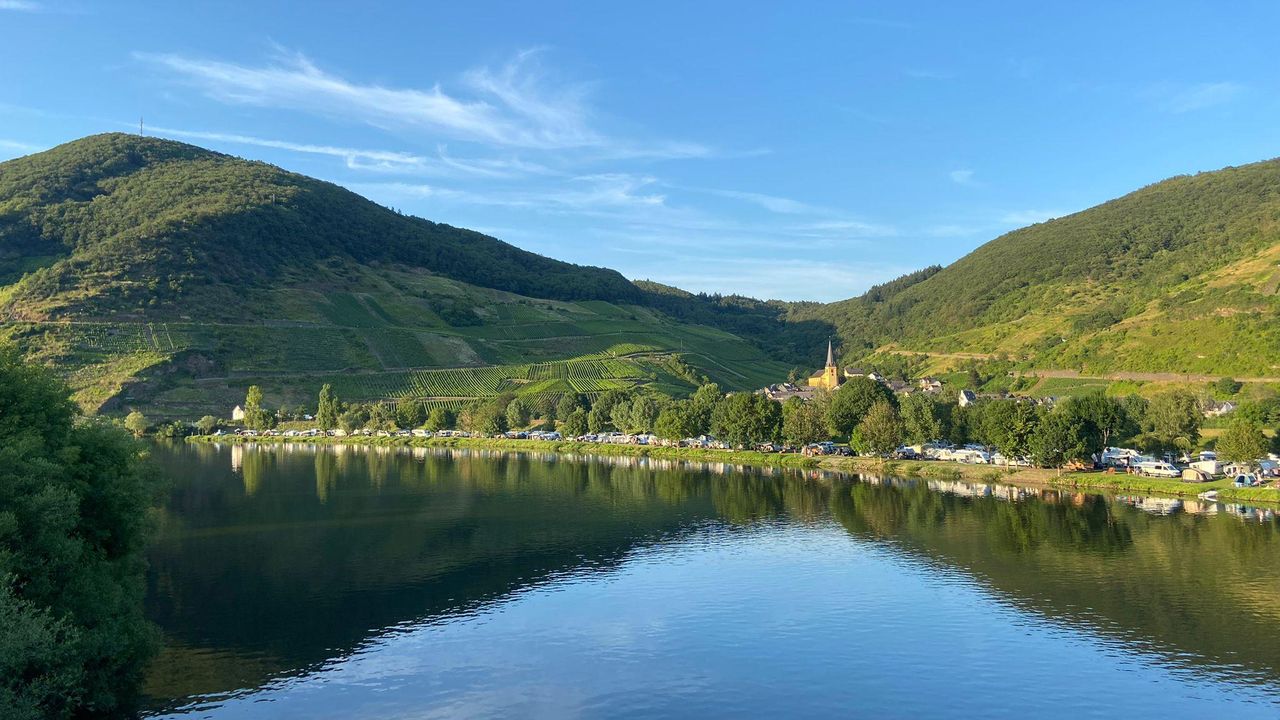 0120efcc-fafe-4bde-badc-f5558698572b 0120efcc-fafe-4bde-badc-f5558698572b